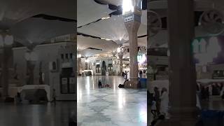 Hazrat se khud ko kabhi dekh ta tha #trending #viral #popular #shorts