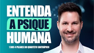 ENTENDA A PSIQUE HUMANA - 1 DOS 4 PILARES DO QUARTETO SINTRÓPICO | parte 2