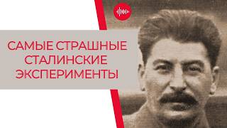 Сталинская коллективизация: Что пошло не так?  | Диктаторы | Все так плюс