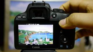 Canon 100D Usage of Shutter Button & Liveview/Video Button in Still mode and Video mode