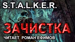 S.T.A.L.K.E.R. Зачистка (аудиокнига). Алексей Гравицкий.