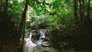 Beautiful Relaxing Running Stream-meditation, relaxation, deep sleep, yoga, calming, mindset