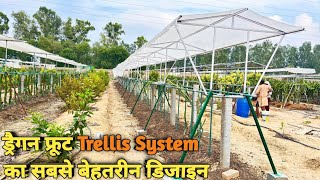 Best Design for Dragon Fruit Farming in Trellis system @kisaanmitra