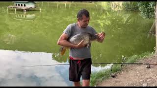 Донная ловля сазана Эп 10 Часть 2: Сазан 7.5кг Carp Fishing on a bottom rod Ep 10 Part 2: Carp 7.5kg