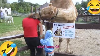 not try to laugh 😂🤣 most funny viral videos compilation 😂 best funny video #01