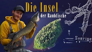 Petrus macht's spannend - Die Insel der Raubfische | Hecht & Barsch in Schweden | TRAVEL AND FISH #8