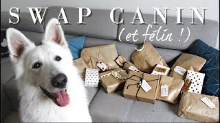 SWAP CANIN | Avec Miette Toy