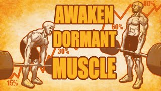 MAXIMIZE Muscle Fiber Activation!