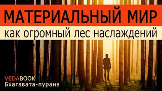 Материальный мир как огромный лес наслаждений / Шримад Бхагаватам. Веды, философия, отречение