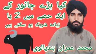 1 qurbani. men. 1 ya ziyada sharek ho sakty hen . #duet #hafiz imranbandyalwi#naats