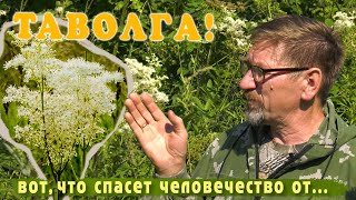 От ГМО, рака, аутоиммунной агрессии, электроволн