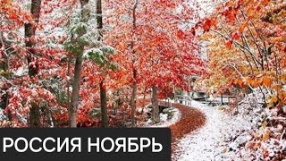 ТАРО ПРОГНОЗ ДЛЯ РОССИИ НА НОЯБРЬ 2024