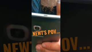 My POV  VS  the newt's POV #shorts #funny #nature #animals #outdoors #pennsylvania #misterjeff