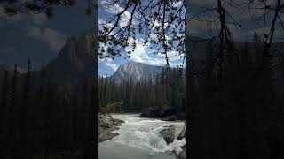 Our favourite spot in Yoho National Park. Listen for some waterfall ASMR ✨🤌 #nationalparkscanada