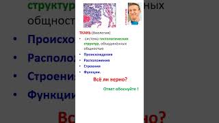 2406051224  ВОПРОС  Ткань. Определение.