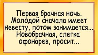 Невеста офигела от такого! Сборник свежих анекдотов! Юмор!