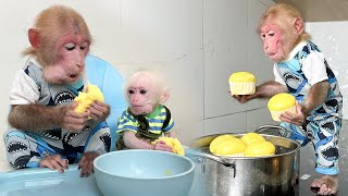 Bibi steamed dumplings for baby monkey to enjoy while Mom was busy!