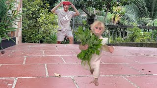 Monkey Luk gradually accepted living with strangers