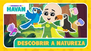 DESCOBRIR A NATUREZA | TURMINHA DA HAVAN