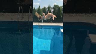 Fancy Trick High Jump Splits Dive into the Dirty Swimming Pool #shorts