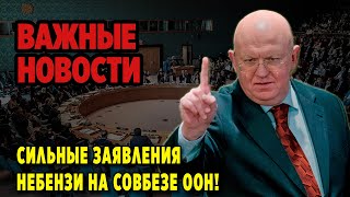 НАТО в ШОКЕ! Высказывания России в ООН?!  Сильные слова Небензи на Совбезе!