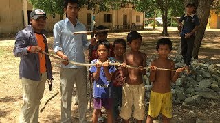 A Group Boys Catch King Cobra near the Rock - Shooting Cobra near the Rock