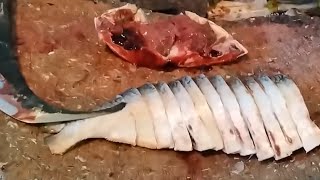 Amazing Big Hilisa Fish Cutting Skills 🔥 Big Size Hilisa Fish Cutting Style