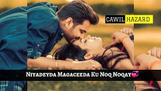 Hees Jacayl oo macan💗💋|| Somali WhatsApp status/lyrics 🎶🔥