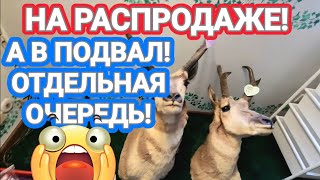 ‼️В Подвал Была Отдельная Очередь!