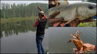 Fishing | Fish Videos | Crab Catching | Rohu Fish Catching | Village Fishing | Traditional Fishing