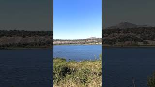 Verano 2024 Garcetas y alguna gaviota reidora en el embalse del Vellón, Sierra Norte de Madrid.