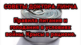 ЛЕКЦИЯ ДОКТОРА ЛИНЧА №8. Питание и голодание в партизанской тактике. Особенности. Крысы в рационе.