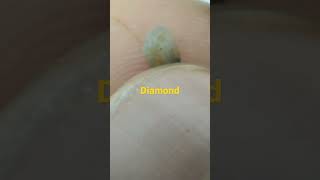 Natural indian Raugh diamond available contact me at 9691191405