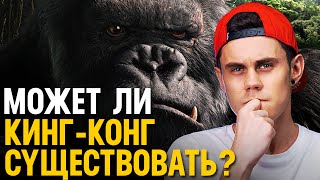 Может ли Кинг Конг существовать? — ТОПЛЕС