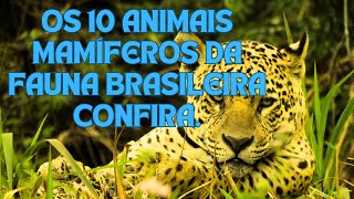 OS 5 ANIMAIS DA NOSSA FAUNA BRASILEIRA .