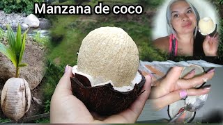 conoce la manzana de coco y sus beneficios 🥥