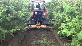 YANMAR T80 & 3 SHANK RIPPER