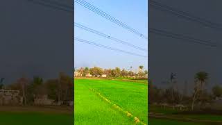 Morning Routine of Desert Women || Cooking Traditi | desert women village life | desert peoples life