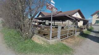 Cycling along the Gargassa Valley (Rossiglione  IT)