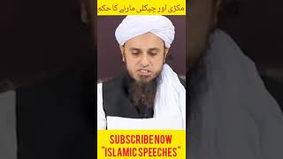 Makri or Chipkali ko Marny ka Hukum | Mufti Tariq Masood | Islamic Speeches