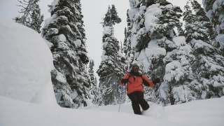 Powder King with Doug #SkiNorthBC