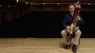 What does a contrabassoon sound like? (Ode to Joy)