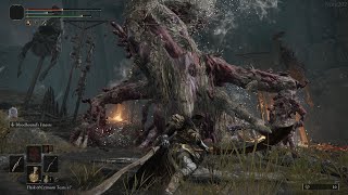 Elden Ring | Ulcerated Tree Sprit Boss Fight