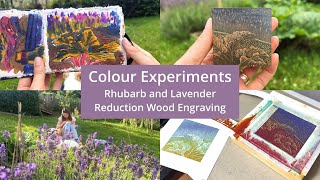 Colour Experiments, Rhubarb & Lavender Reduction Wood Engraving