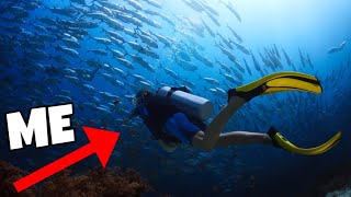 WE WENT SCUBA DIVING IN HAWAII! *AMAZING*