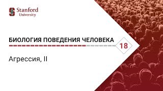 Биология поведения человека: Лекция #18. Агрессия, II [Роберт Сапольски, 2010. Стэнфорд]