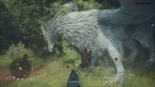 Dragon's Dogma 2 - Riding and Beating a Gryphon