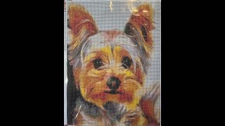 Yorkie, diamond painting, and chatting ￼