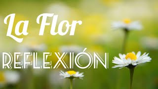 LA FLOR | HERMOSA REFLEXIÓN CRISTIANA