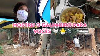 VLOG: CONSULTA, COMPRINHAS E MOSTREI MINHAS GALINHAS